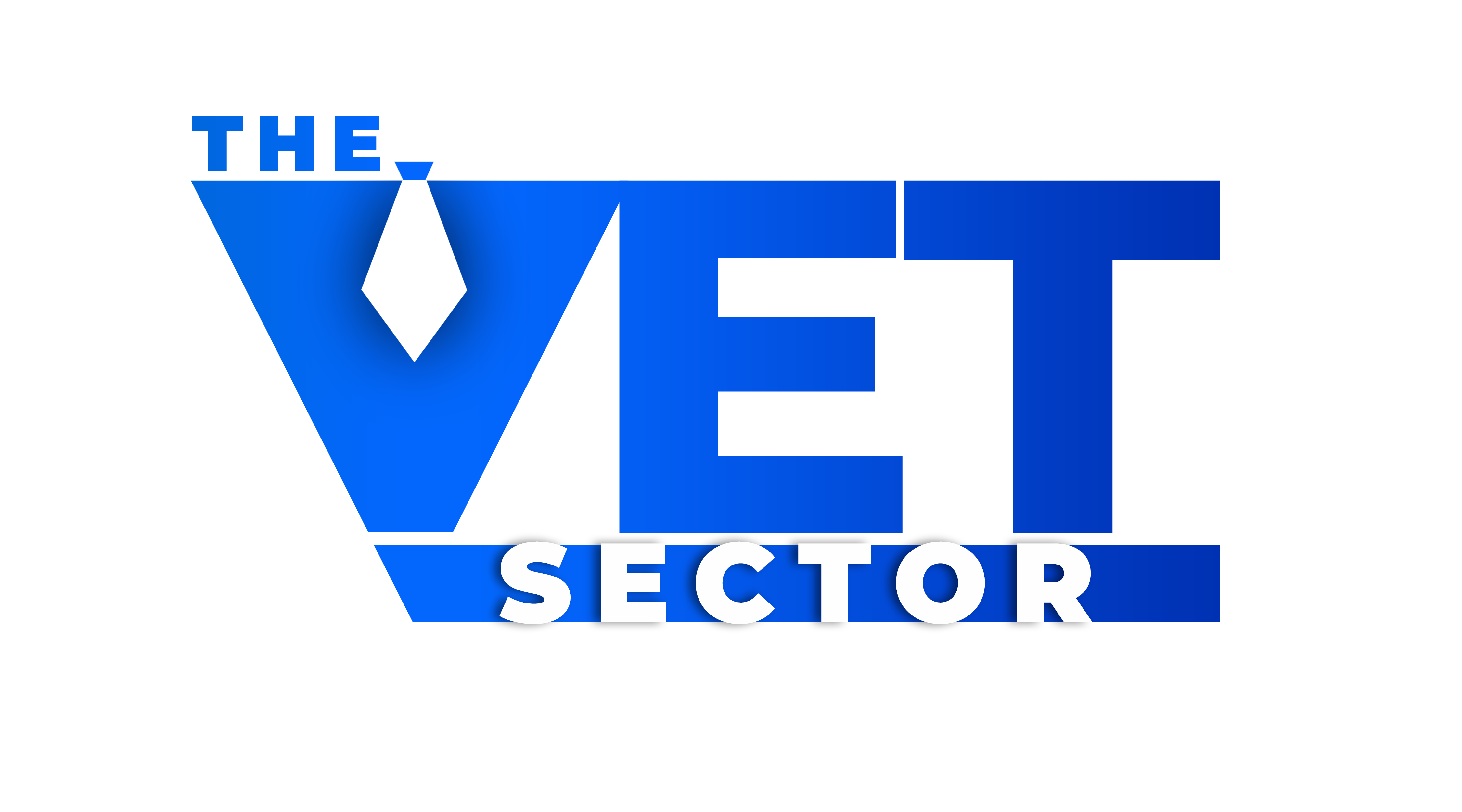 The VET Sector